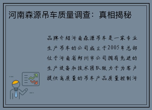 河南森源吊车质量调查：真相揭秘