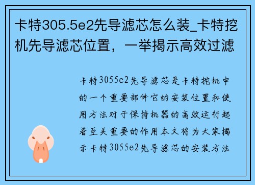 卡特305.5e2先导滤芯怎么装_卡特挖机先导滤芯位置，一举揭示高效过滤技术