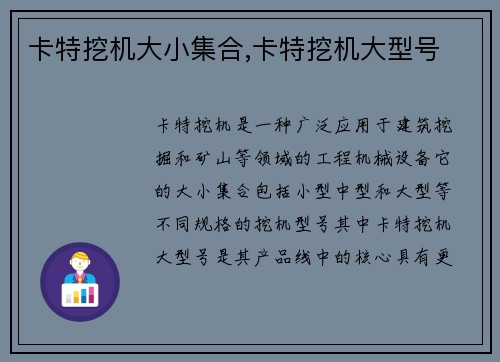 卡特挖机大小集合,卡特挖机大型号
